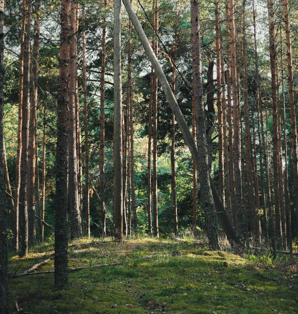 Clearance near poles — placeholder